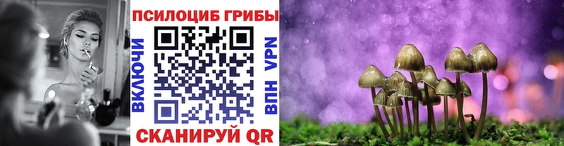 Галлюциногенные грибы Magic Shrooms ОМГ ОМГ рабочий сайт Новоульяновск